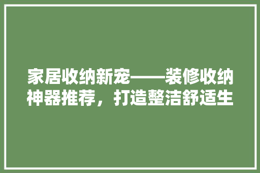 家居收纳新宠——装修收纳神器推荐，打造整洁舒适生活空间