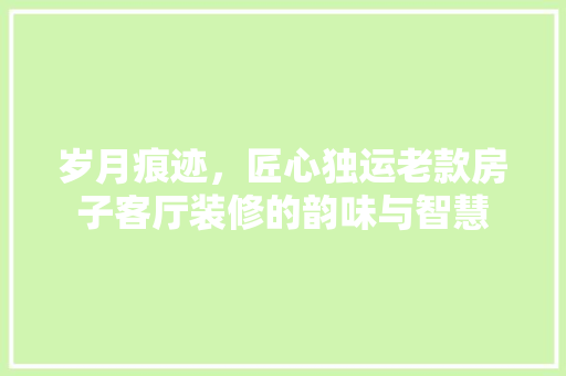 岁月痕迹，匠心独运老款房子客厅装修的韵味与智慧
