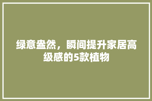 绿意盎然，瞬间提升家居高级感的5款植物
