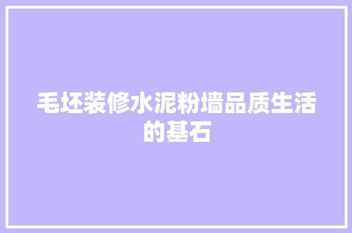 毛坯装修水泥粉墙品质生活的基石