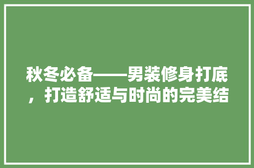 秋冬必备——男装修身打底，打造舒适与时尚的完美结合