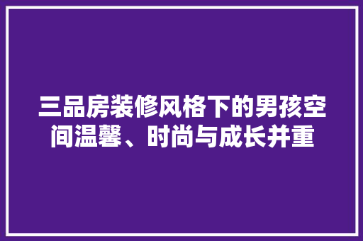 三品房装修风格下的男孩空间温馨、时尚与成长并重