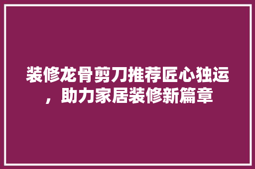 装修龙骨剪刀推荐匠心独运，助力家居装修新篇章