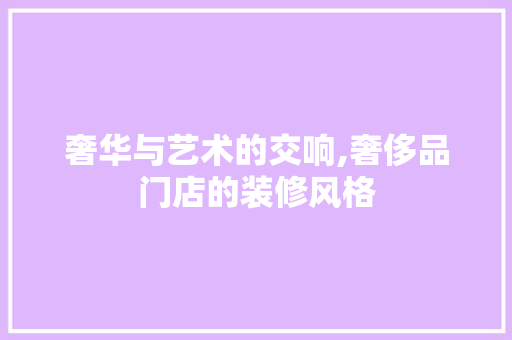 奢华与艺术的交响,奢侈品门店的装修风格