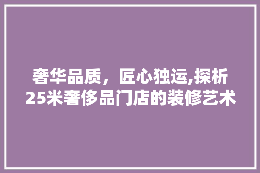 奢华品质，匠心独运,探析25米奢侈品门店的装修艺术