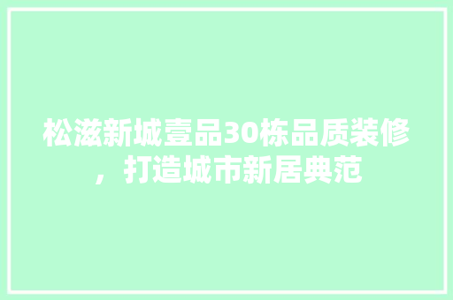 松滋新城壹品30栋品质装修，打造城市新居典范