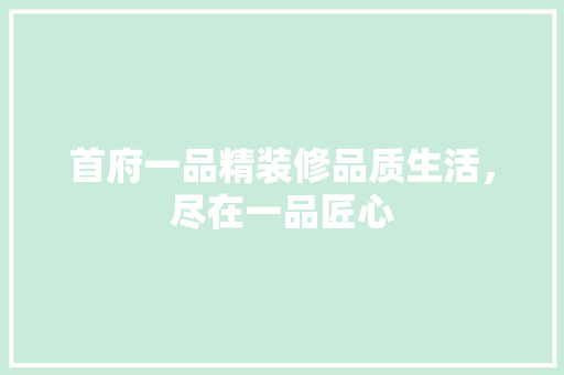 首府一品精装修品质生活，尽在一品匠心