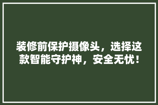 装修前保护摄像头，选择这款智能守护神，安全无忧！