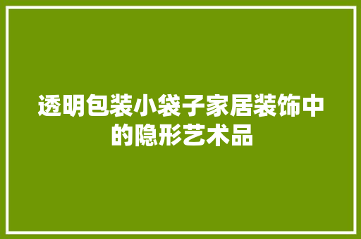 透明包装小袋子家居装饰中的隐形艺术品