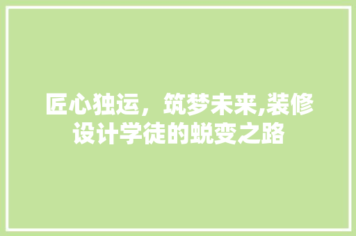 匠心独运，筑梦未来,装修设计学徒的蜕变之路