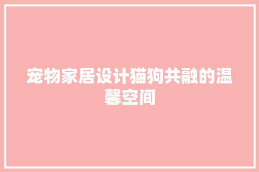 宠物家居设计猫狗共融的温馨空间