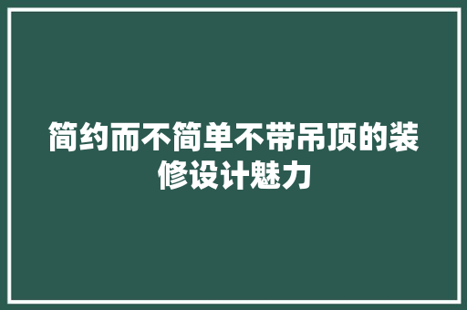 简约而不简单不带吊顶的装修设计魅力