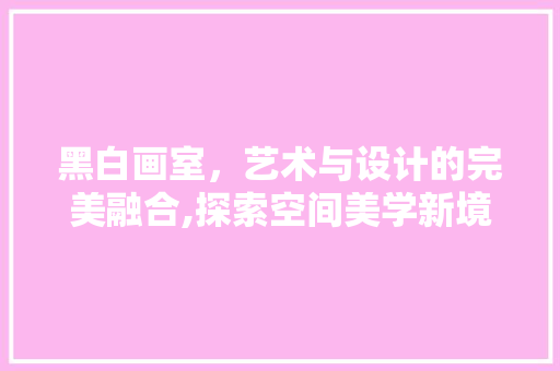 黑白画室，艺术与设计的完美融合,探索空间美学新境界