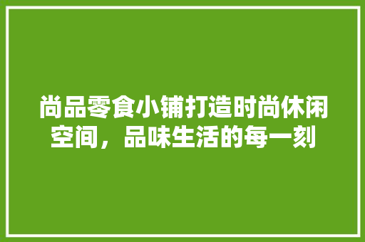 尚品零食小铺打造时尚休闲空间，品味生活的每一刻