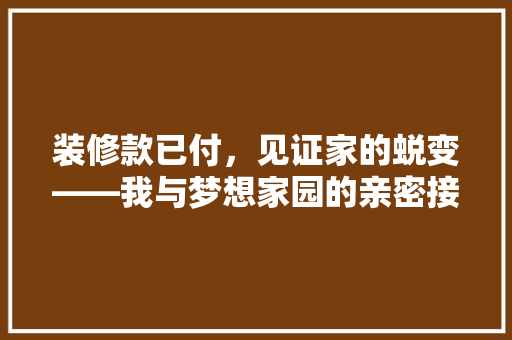 装修款已付，见证家的蜕变——我与梦想家园的亲密接触
