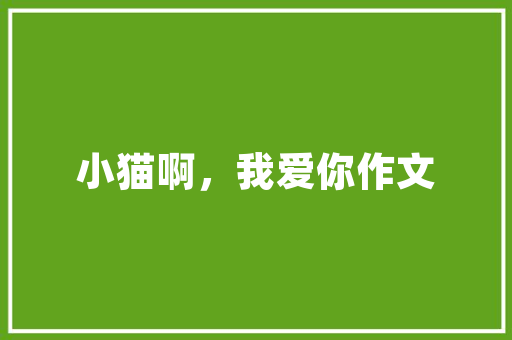 2025藏式装修设计融合传统与创新，打造独特家居空间