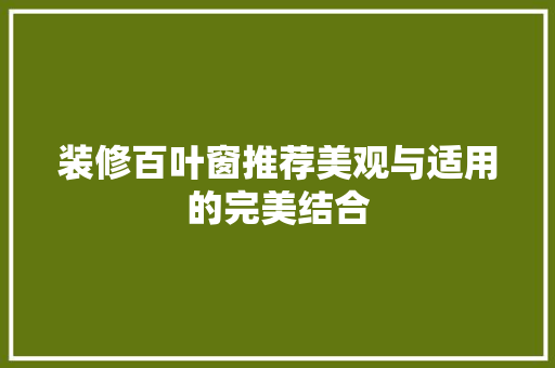 装修百叶窗推荐美观与适用的完美结合