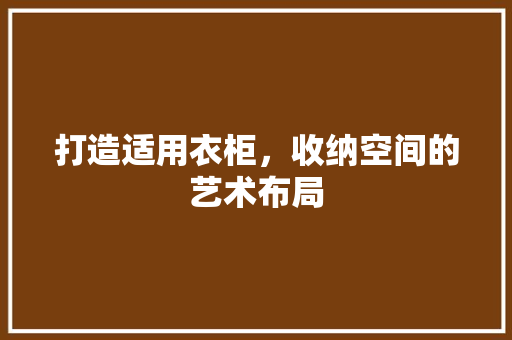打造适用衣柜，收纳空间的艺术布局