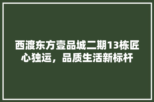 西渡东方壹品城二期13栋匠心独运，品质生活新标杆