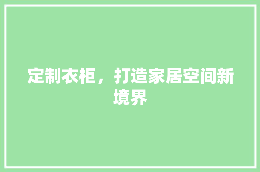 定制衣柜，打造家居空间新境界  第1张