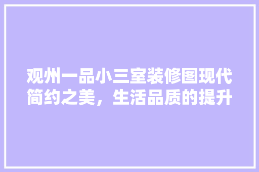 观州一品小三室装修图现代简约之美，生活品质的提升之路